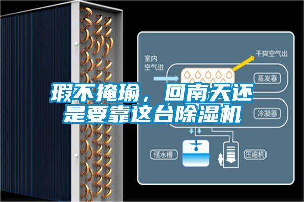 瑕不掩瑜，回南天还是要靠这台91抖音免费看片