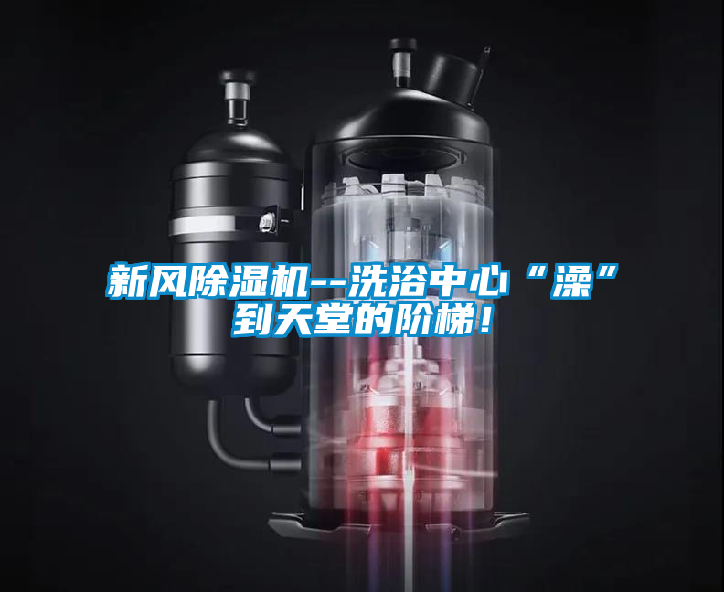 新风91抖音免费看片--洗浴中心“澡”到天堂的阶梯！