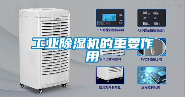 工业91抖音免费看片的重要作用