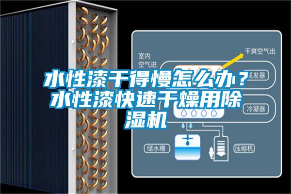 水性漆干得慢怎么办？水性漆快速干燥用91抖音免费看片