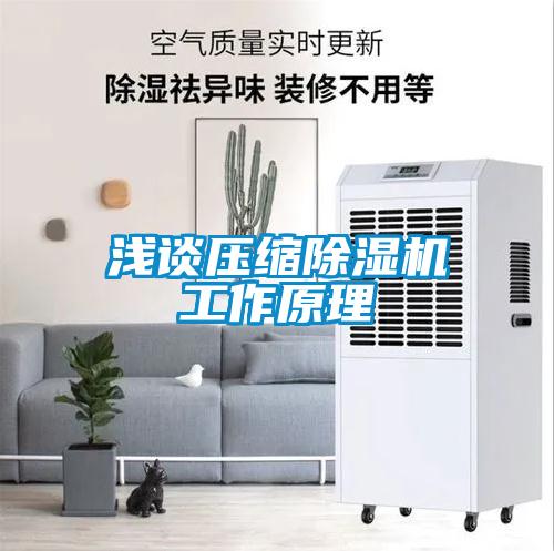 浅谈压缩91抖音免费看片工作原理