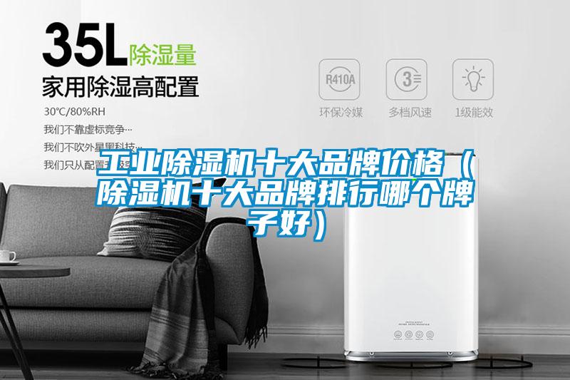 工业91抖音免费看片十大品牌价格（91抖音免费看片十大品牌排行哪个牌子好）