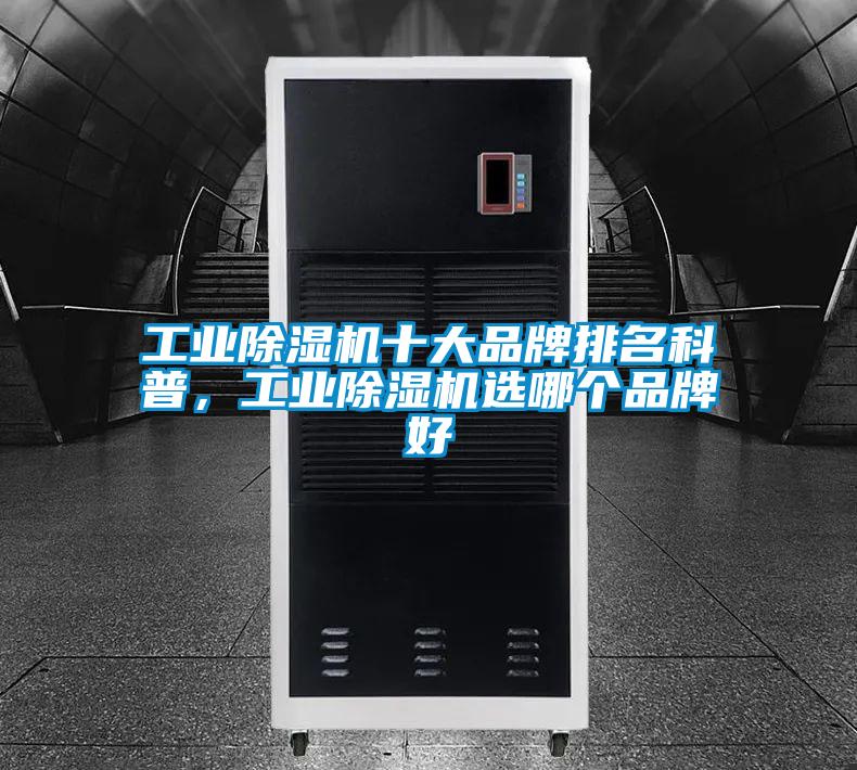 工业91抖音免费看片十大品牌排名科普，工业91抖音免费看片选哪个品牌好