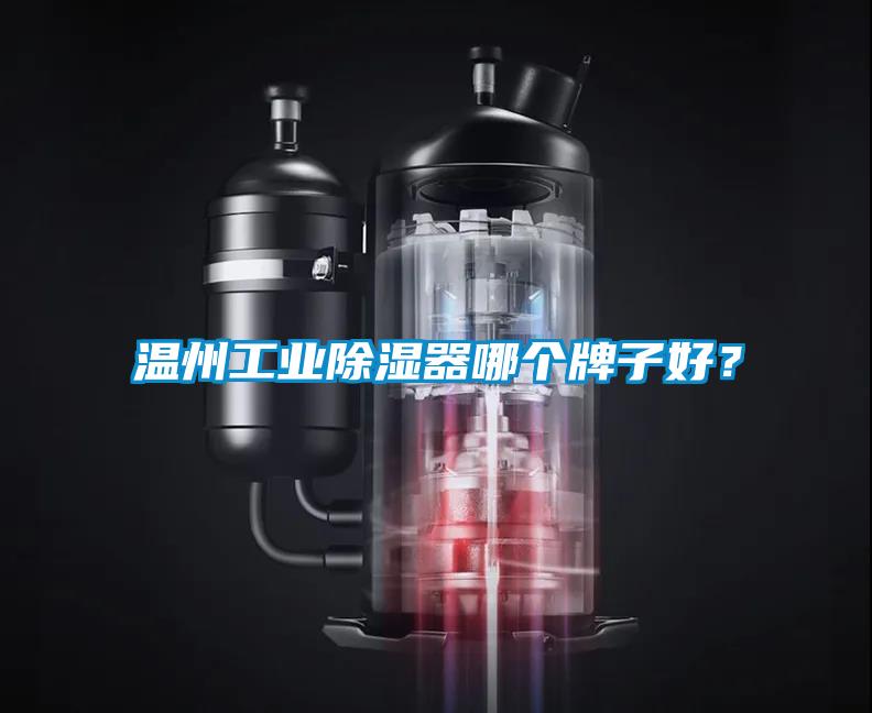 温州工业除湿器哪个牌子好？