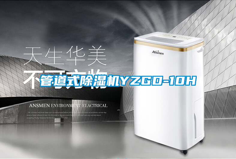 管道式91抖音免费看片YZGD-10H