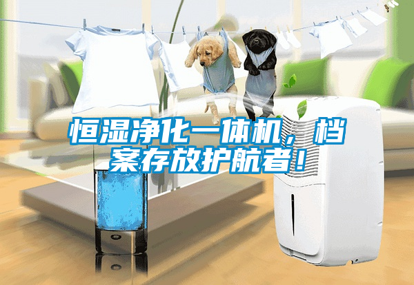 恒湿净化一体机，档案存放护航者！
