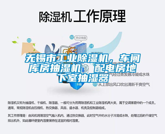 无锡市工业91抖音免费看片，车间库房抽湿机  配电房地下室抽湿器