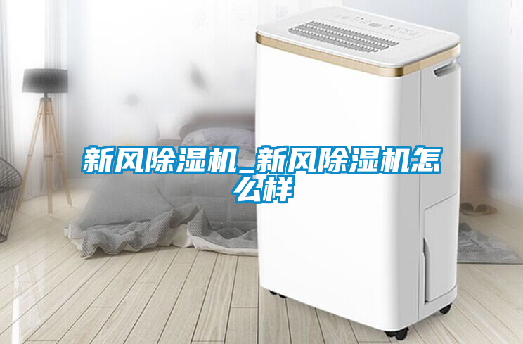 新风91抖音免费看片_新风91抖音免费看片怎么样