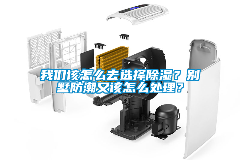 成人抖音在线下载该怎么去选择除湿？别墅防潮又该怎么处理？