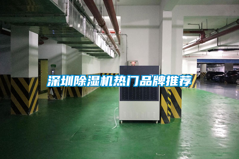深圳91抖音免费看片热门品牌推荐