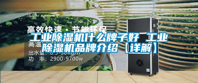 工业91抖音免费看片什么牌子好 工业91抖音免费看片品牌介绍【详解】