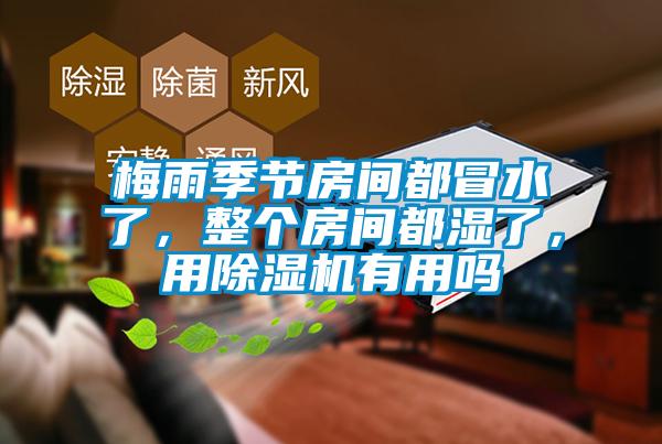 梅雨季节房间都冒水了，整个房间都湿了，用91抖音免费看片有用吗