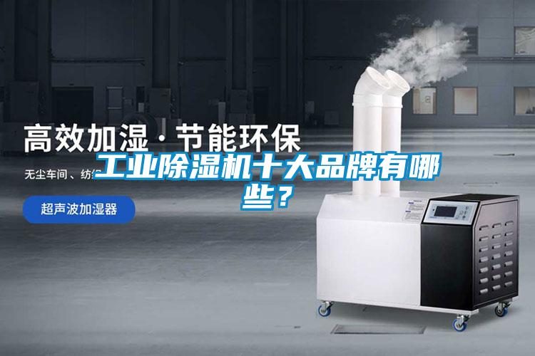工业91抖音免费看片十大品牌有哪些？