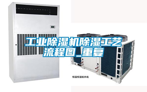 工业91抖音免费看片除湿工艺流程图_重复