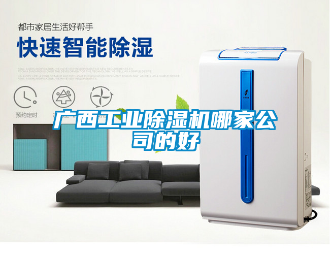 广西工业91抖音免费看片哪家公司的好