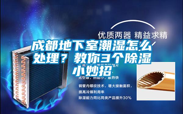 成都地下室潮湿怎么处理？教你3个除湿小妙招
