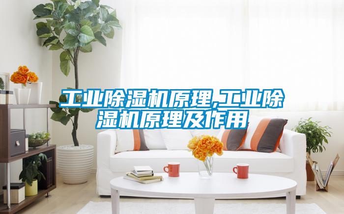 工业91抖音免费看片原理,工业91抖音免费看片原理及作用