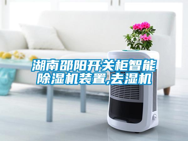湖南邵阳开关柜智能91抖音免费看片装置,去湿机