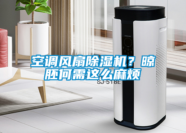 空调风扇91抖音免费看片？晾胚何需这么麻烦