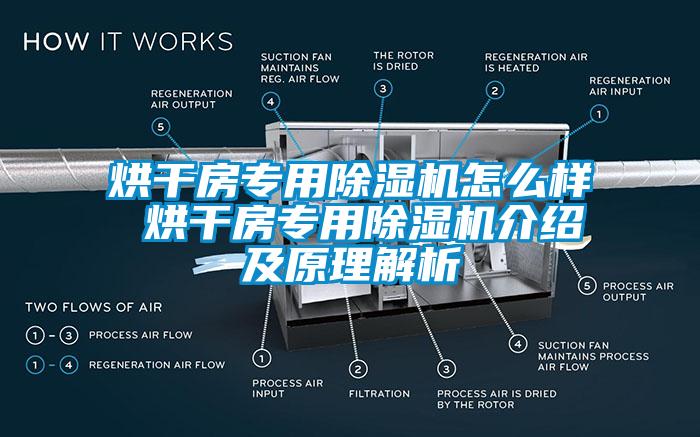 烘干房专用91抖音免费看片怎么样 烘干房专用91抖音免费看片介绍及原理解析