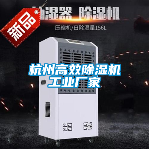 杭州高效91抖音免费看片工业厂家