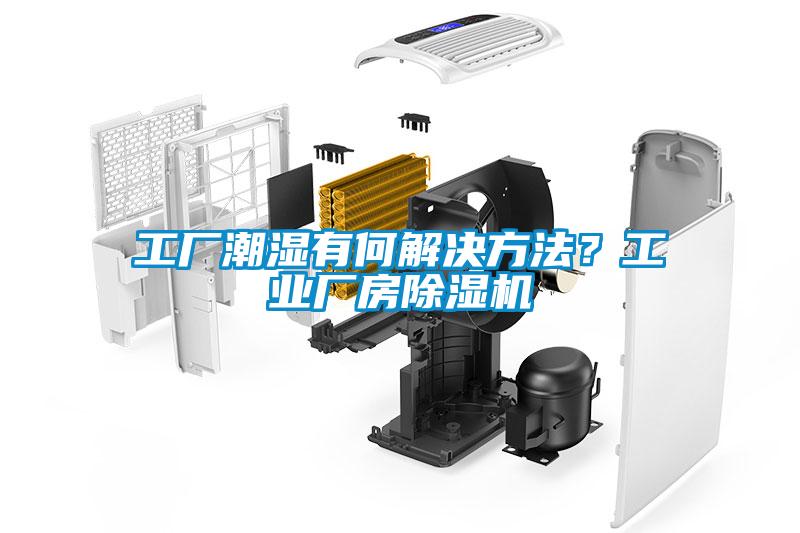 工厂潮湿有何解决方法？工业厂房91抖音免费看片