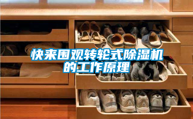 快来围观转轮式91抖音免费看片的工作原理