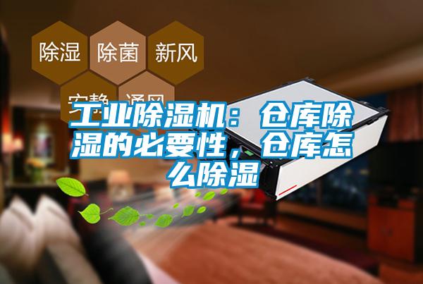 工业91抖音免费看片：仓库除湿的必要性，仓库怎么除湿