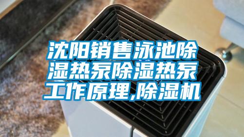 沈阳销售泳池除湿热泵除湿热泵工作原理,91抖音免费看片
