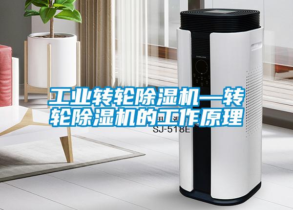 工业转轮91抖音免费看片—转轮91抖音免费看片的工作原理