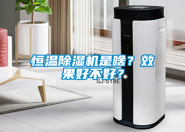 恒温91抖音免费看片是啥？效果好不好？
