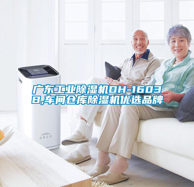 广东工业91抖音免费看片DH-1603B,车间仓库91抖音免费看片优选品牌