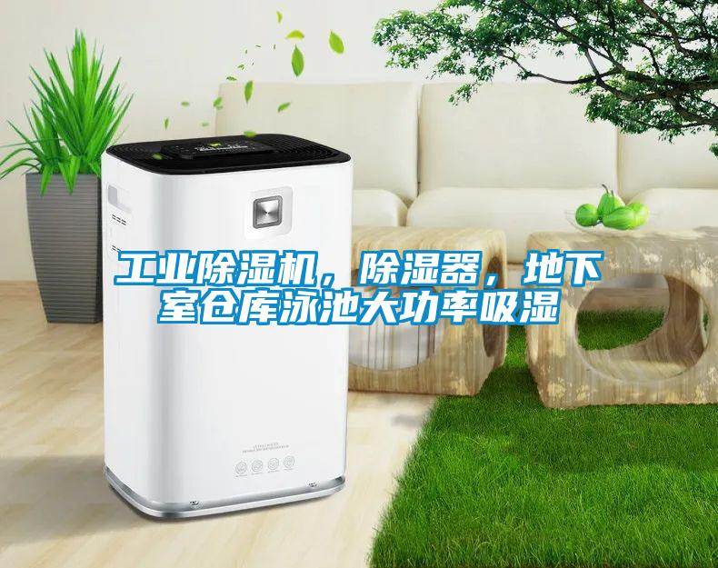 工业91抖音免费看片，除湿器，地下室仓库泳池大功率吸湿