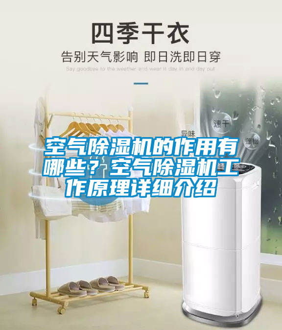 空气91抖音免费看片的作用有哪些？空气91抖音免费看片工作原理详细介绍