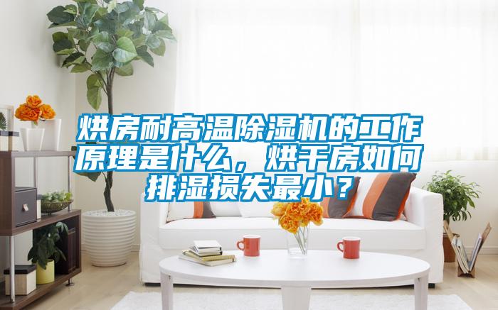 烘房耐高温91抖音免费看片的工作原理是什么，烘干房如何排湿损失最小？