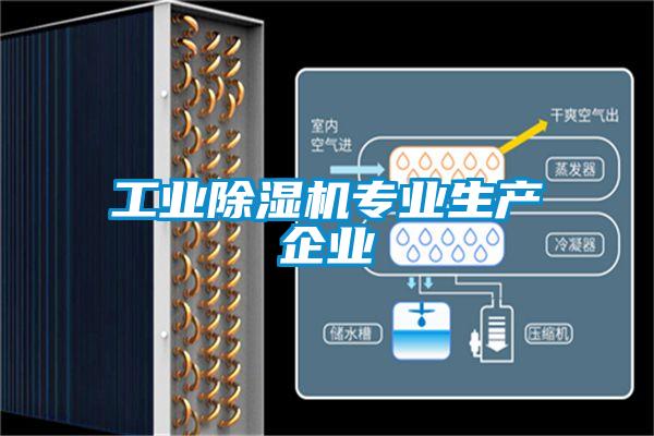 工业91抖音免费看片专业生产企业