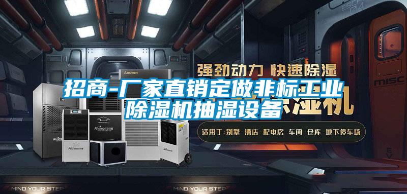 招商-厂家直销定做非标工业91抖音免费看片抽湿设备