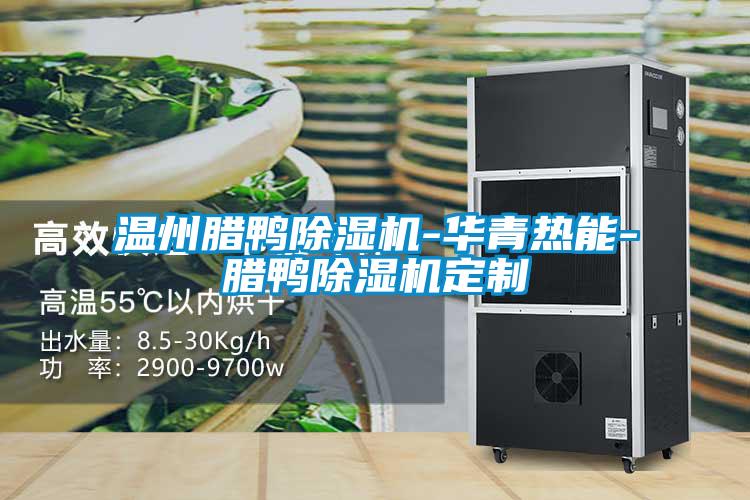 温州腊鸭91抖音免费看片-华青热能-腊鸭91抖音免费看片定制