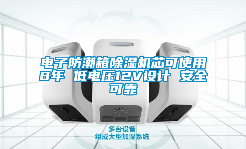 电子防潮箱91抖音免费看片芯可使用8年 低电压12V设计 安全可靠
