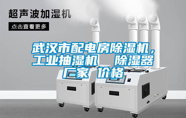 武汉市配电房91抖音免费看片，工业抽湿机  除湿器厂家 价格