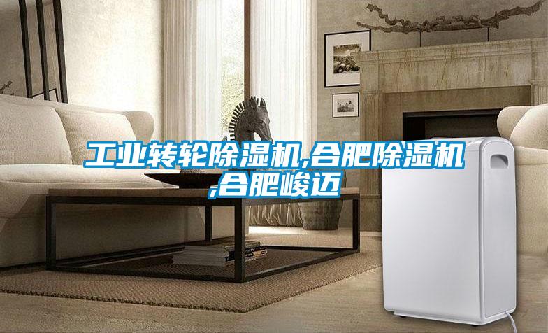 工业转轮91抖音免费看片,合肥91抖音免费看片,合肥峻迈