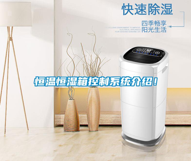恒温恒湿箱控制系统介绍！