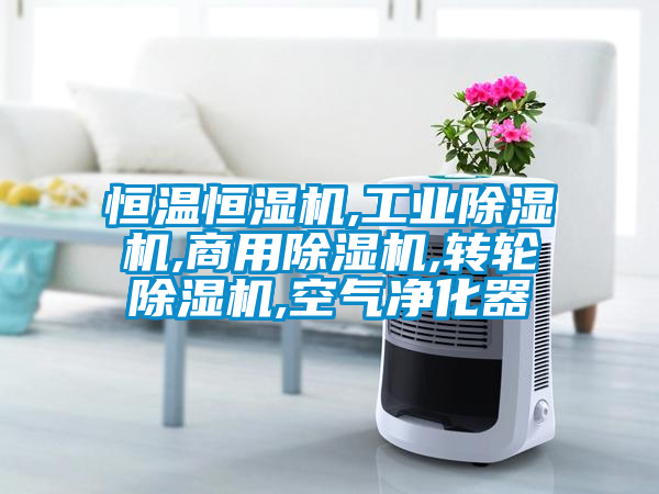 恒温恒湿机,工业91抖音免费看片,商用91抖音免费看片,转轮91抖音免费看片,空气净化器