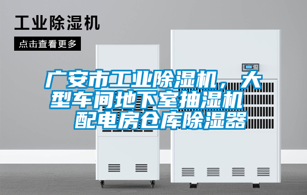 广安市工业91抖音免费看片，大型车间地下室抽湿机  配电房仓库除湿器