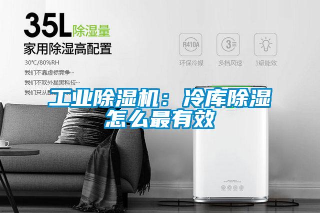 工业91抖音免费看片：冷库除湿怎么最有效