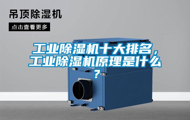 工业91抖音免费看片十大排名，工业91抖音免费看片原理是什么？