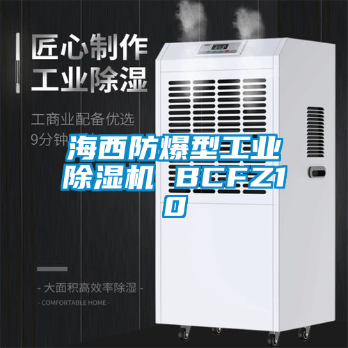 海西防爆型工业91抖音免费看片 BCFZ10