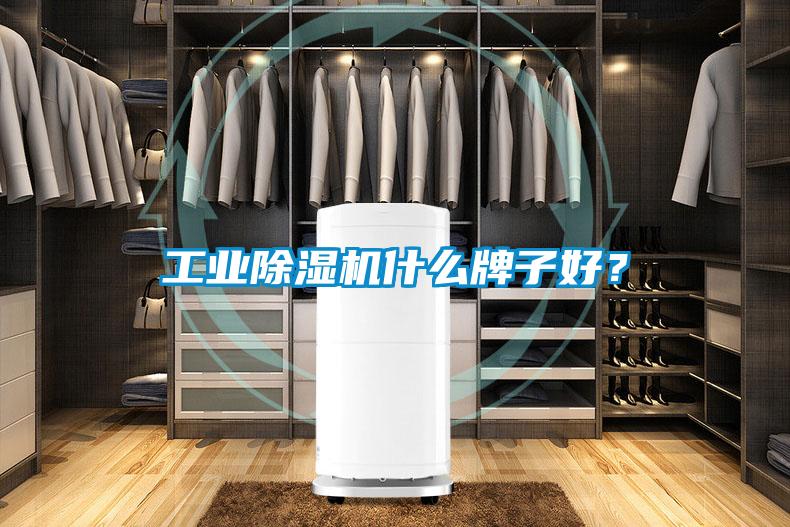 工业91抖音免费看片什么牌子好？