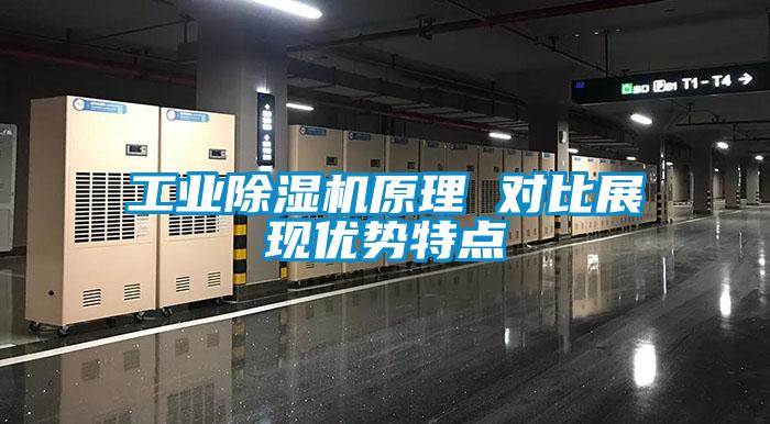 工业91抖音免费看片原理 对比展现优势特点