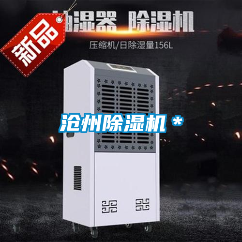 沧州91抖音免费看片＊